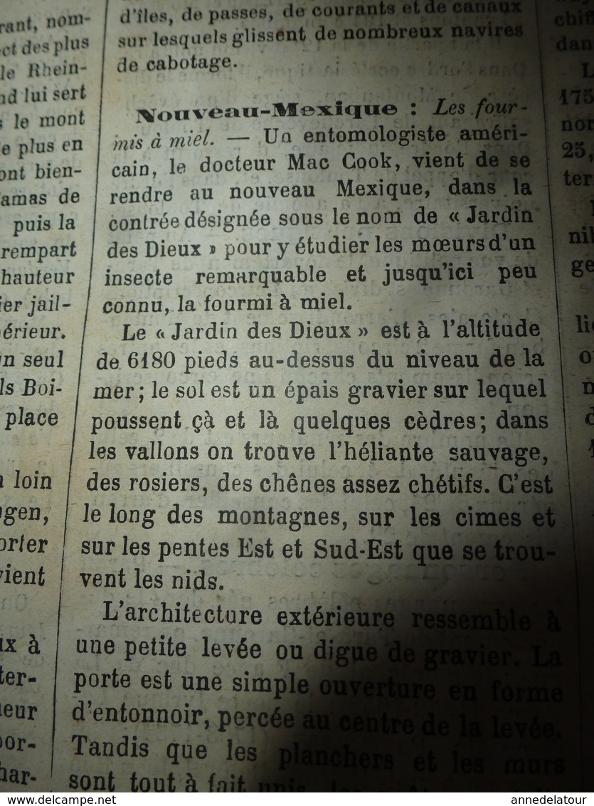 1882 JdV: Mr Brun chez les Achantis; Les fourmis à miel de Mexique ; Le TARN et Garonne; etc