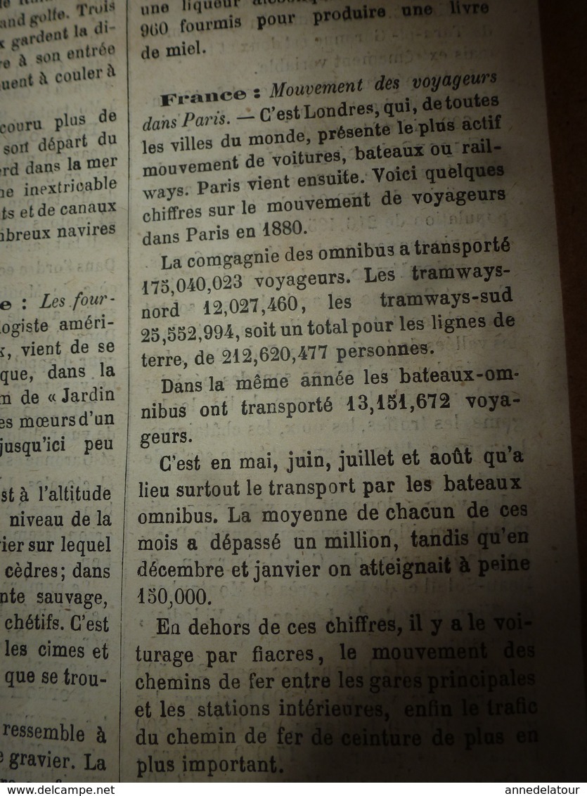 1882 JdV: Mr Brun chez les Achantis; Les fourmis à miel de Mexique ; Le TARN et Garonne; etc