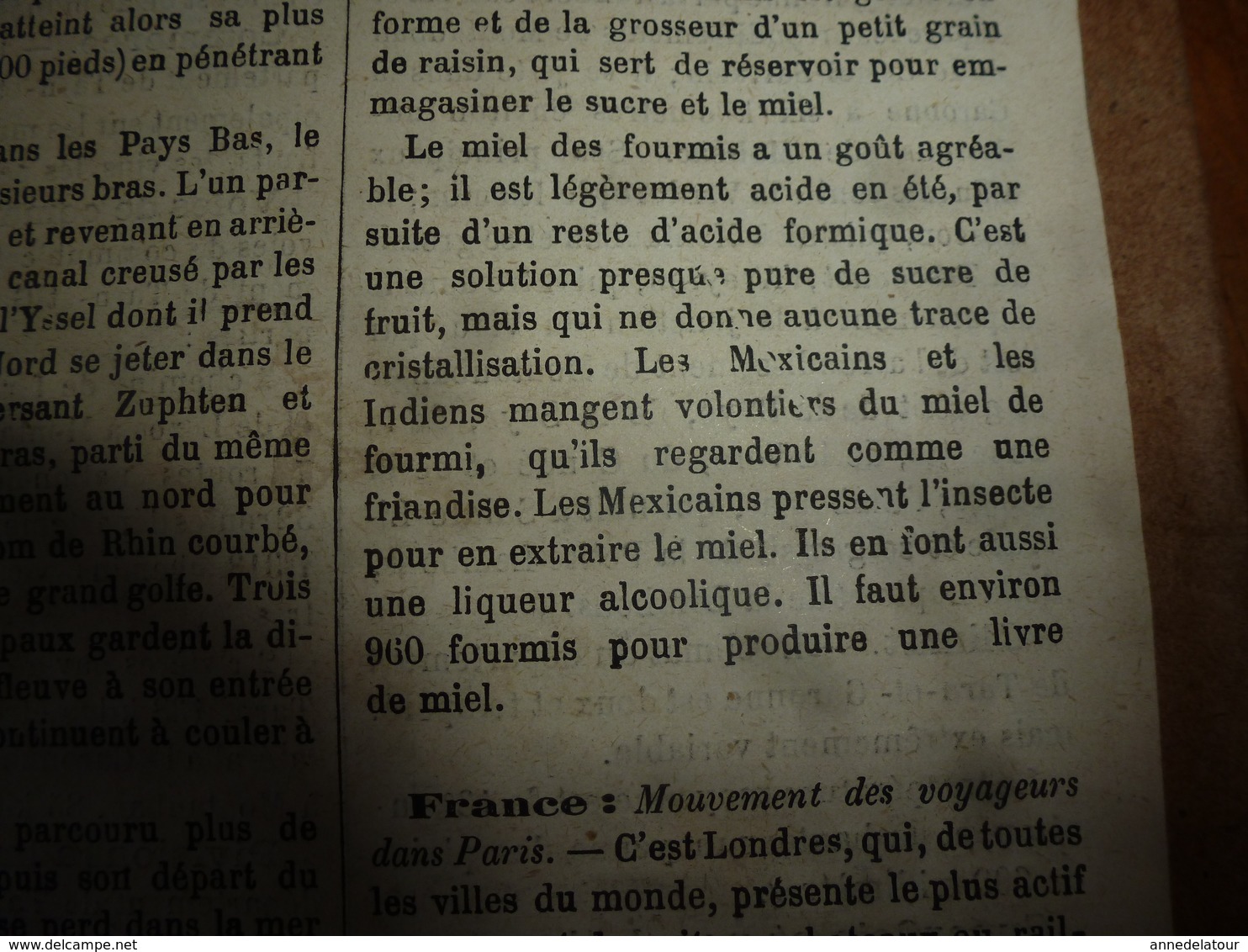 1882 JdV: Mr Brun chez les Achantis; Les fourmis à miel de Mexique ; Le TARN et Garonne; etc