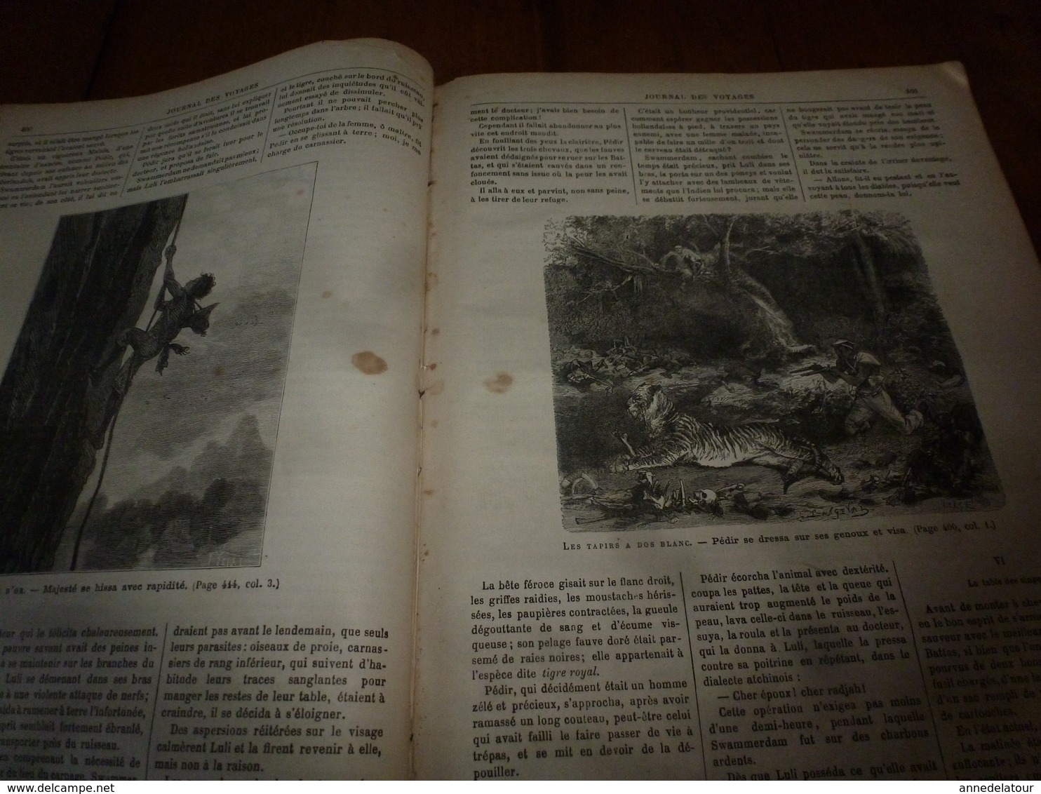 1882 JdV: Mr Brun chez les Achantis; Traversée de La JUNON  Madère - Rio de Janeiro; Naufrage du RITTARNEY côte Irlande