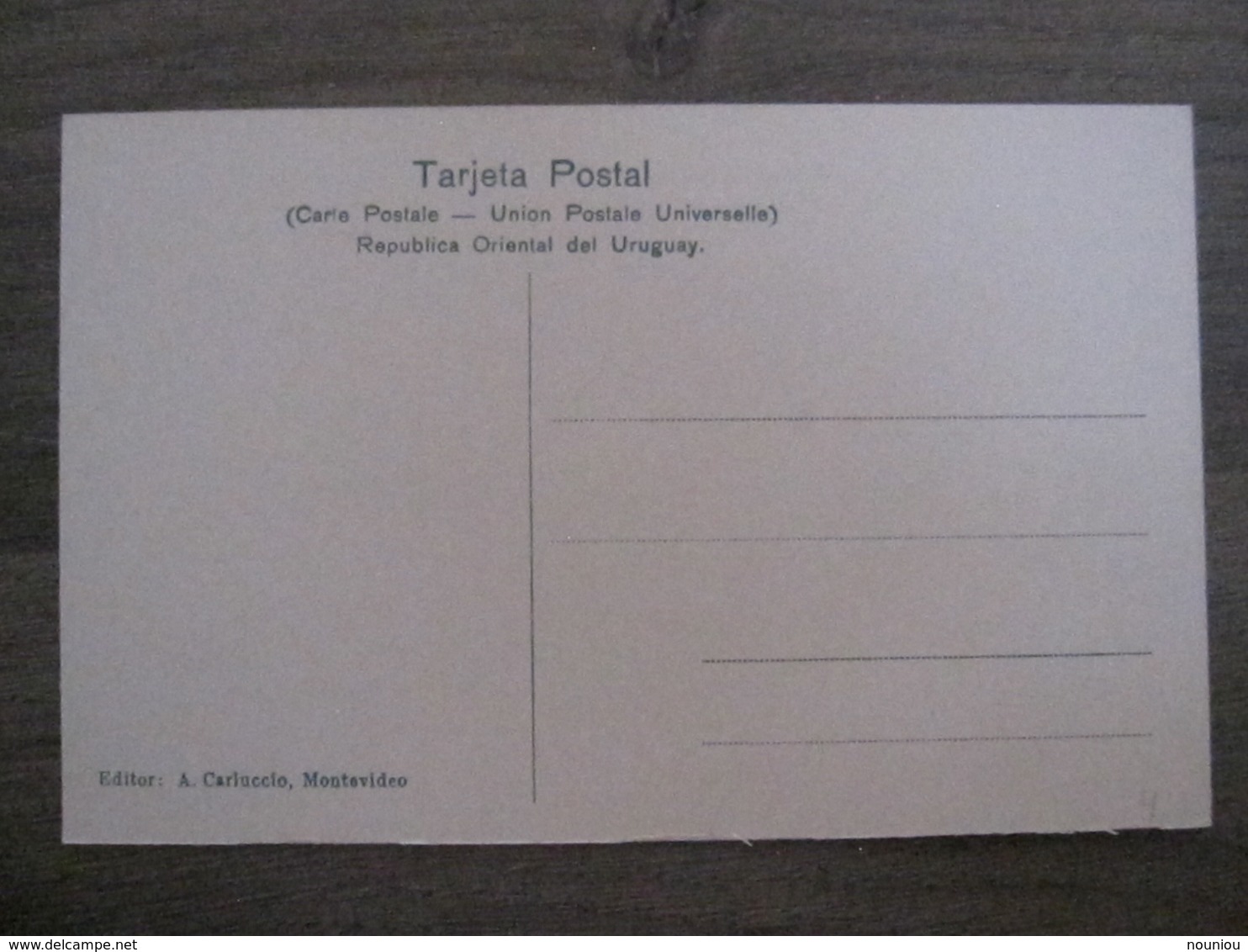 Tarjeta Postal Postcard - Uruguaya Uruguay Montevideo - Fuente Del Prado - 354 - Uruguay