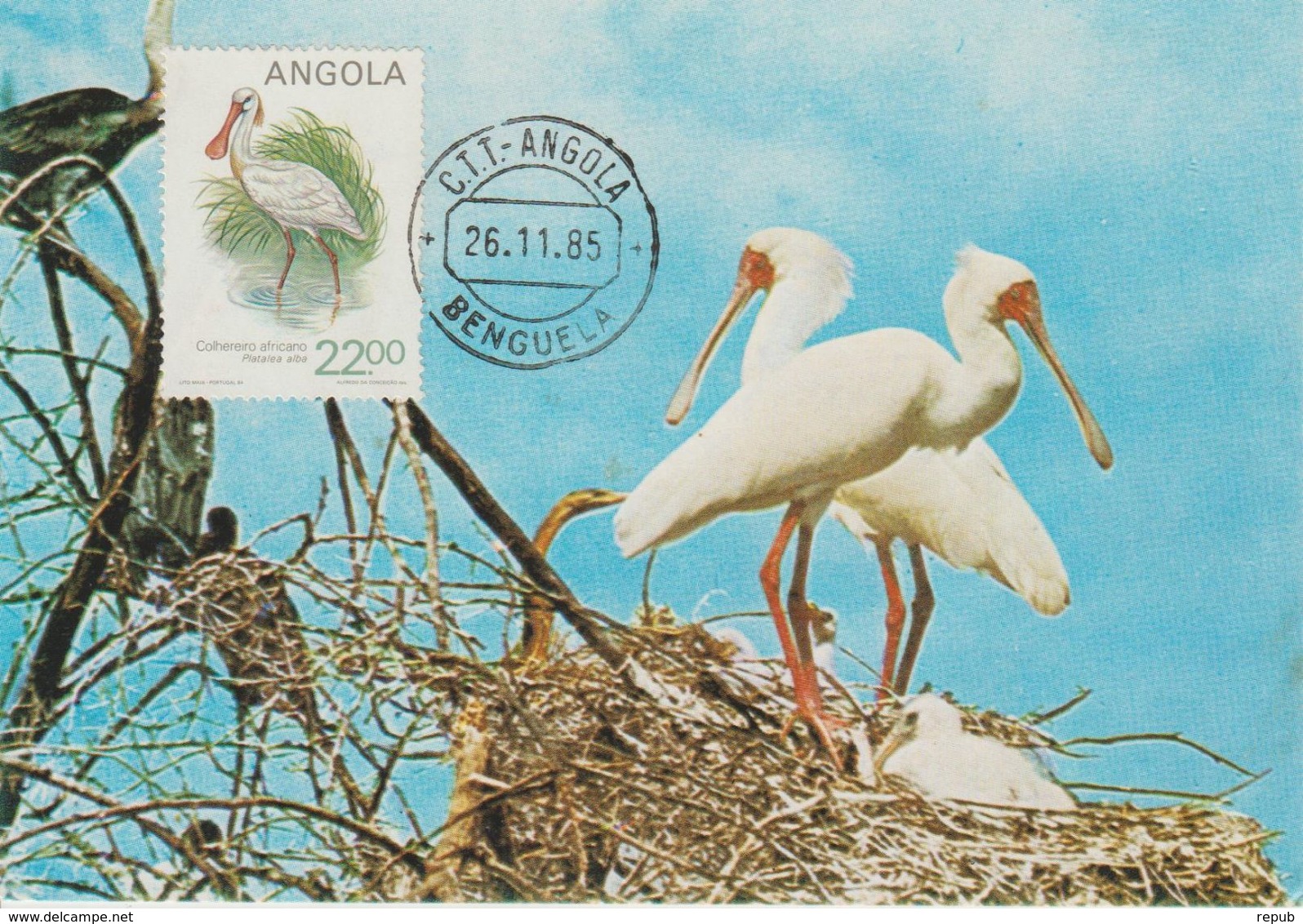 Carte Maximum 1984 Oiseaux Platalea 689E - Angola