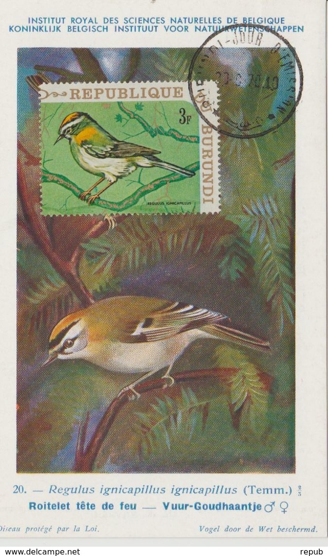 Carte Maximum 1970 Oiseaux Yv 400 - Autres & Non Classés