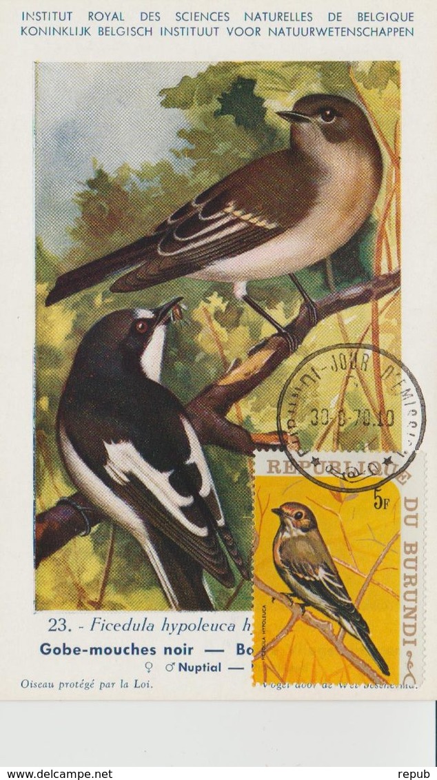 Carte Maximum 1970 Oiseaux Yv 412 - Autres & Non Classés