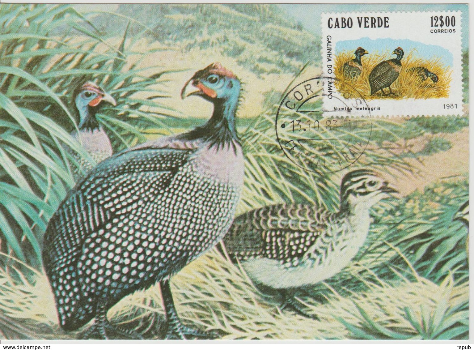 Carte Maximum 1981 Oiseaux 450F - Cap Vert