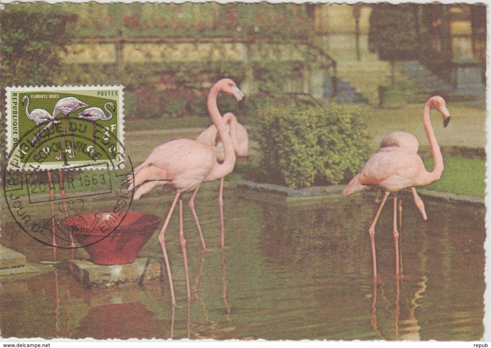 Carte Maximum 1963 Oiseaux Flamants Roses 487 - Autres & Non Classés