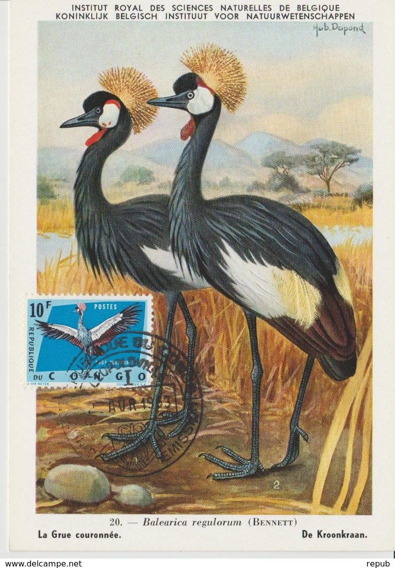 Carte Maximum 1963 Oiseaux Grues Couronnées 493 - Autres & Non Classés