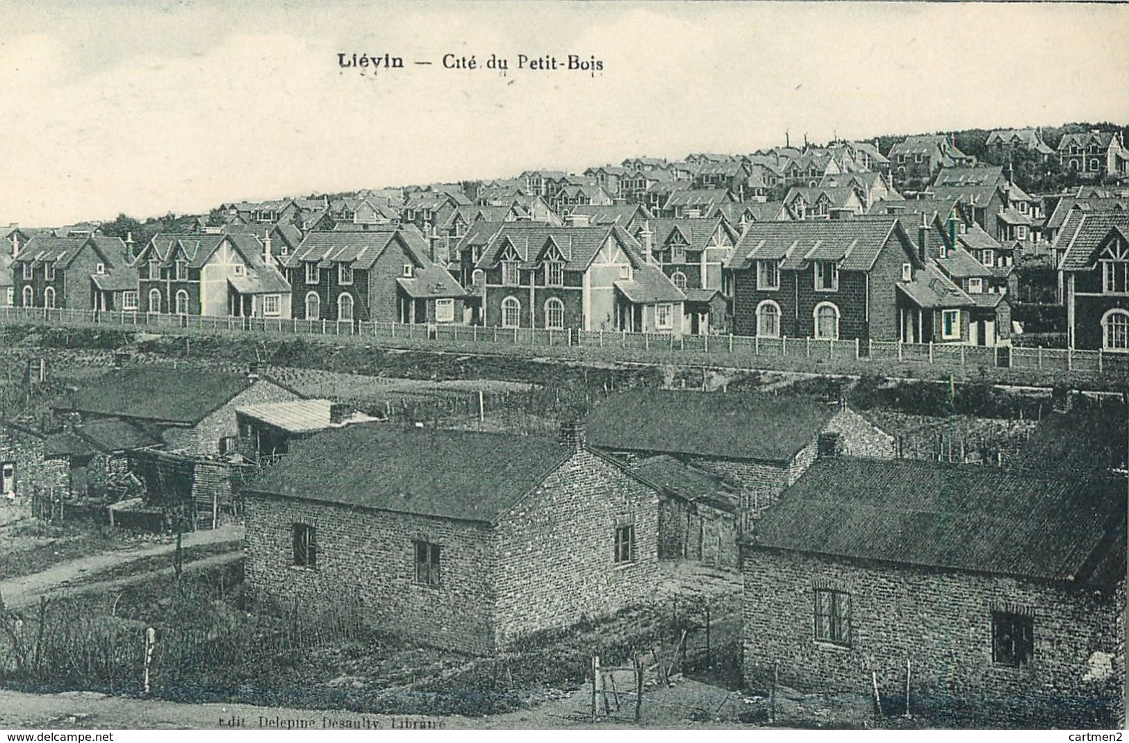 LIEVIN CITE DU PETIT-BOIS 62 - Lievin