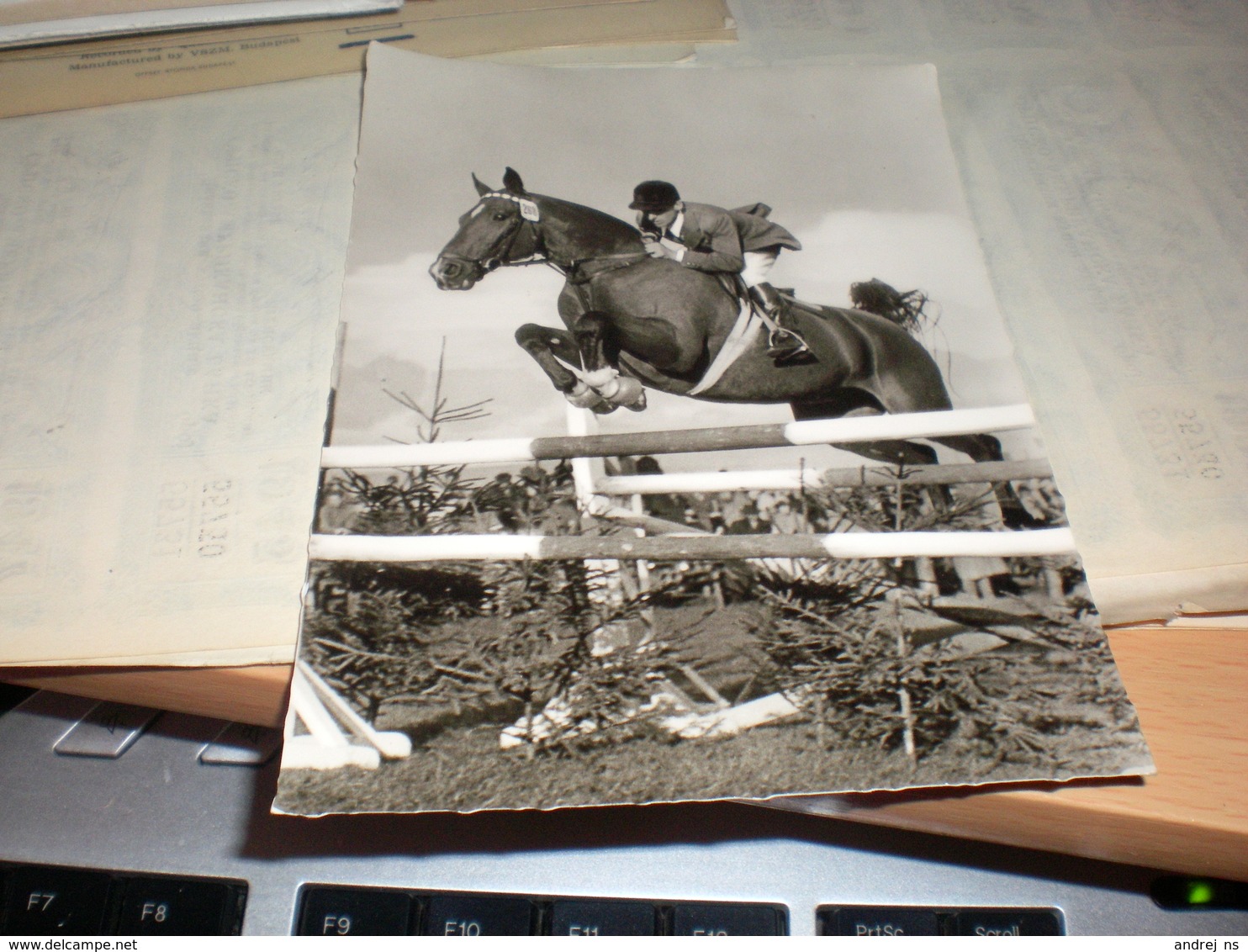 Horse Riding Meteor Fritz Thiedemann - Salto De Trampolin