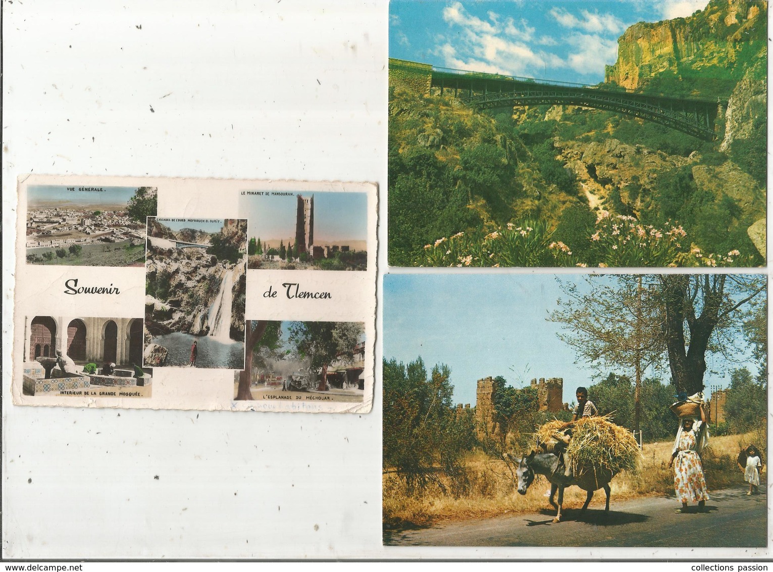 Carte Postale , ALGERIE , TLEMCEN, 2 Scans , LOT DE 6 CARTES POSTALES - 5 - 99 Postcards