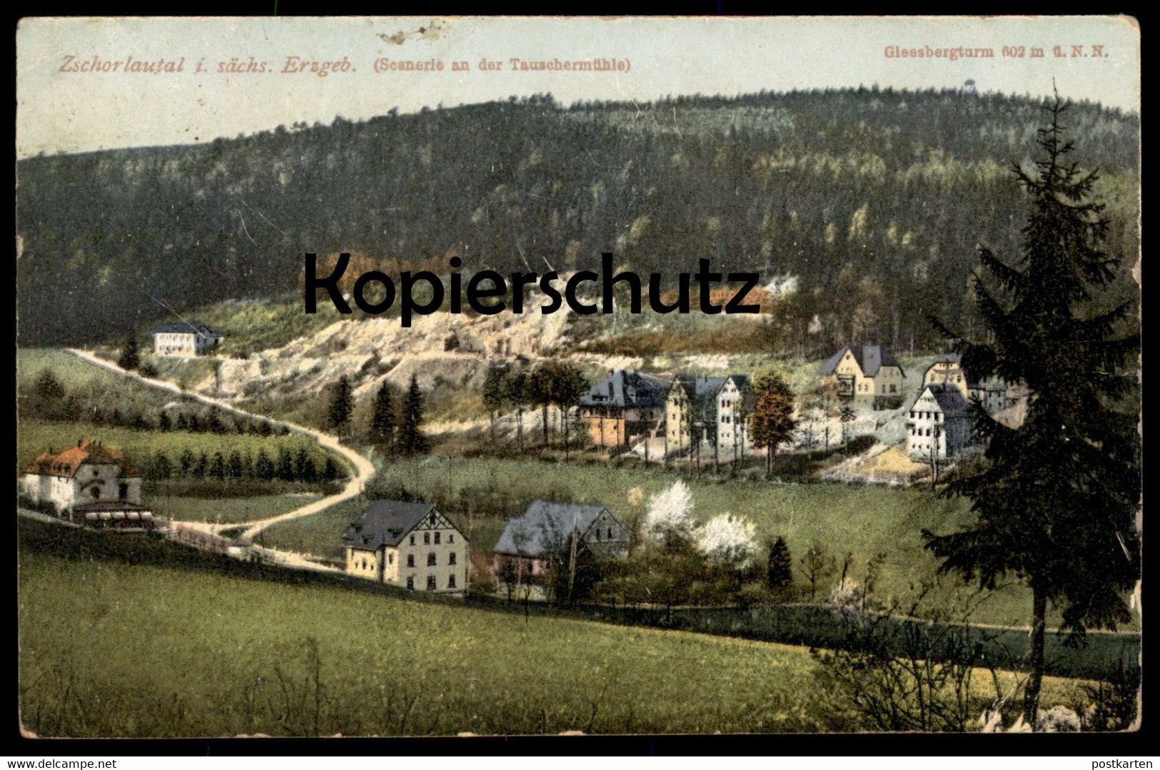 ALTE POSTKARTE ZSCHORLAUTAL SCENERIE AN DER TAUSCHERMÜHLE GLEESBERG TURM Zschorlau Ansichtskarte AK Cpa Postcard - Zschorlau