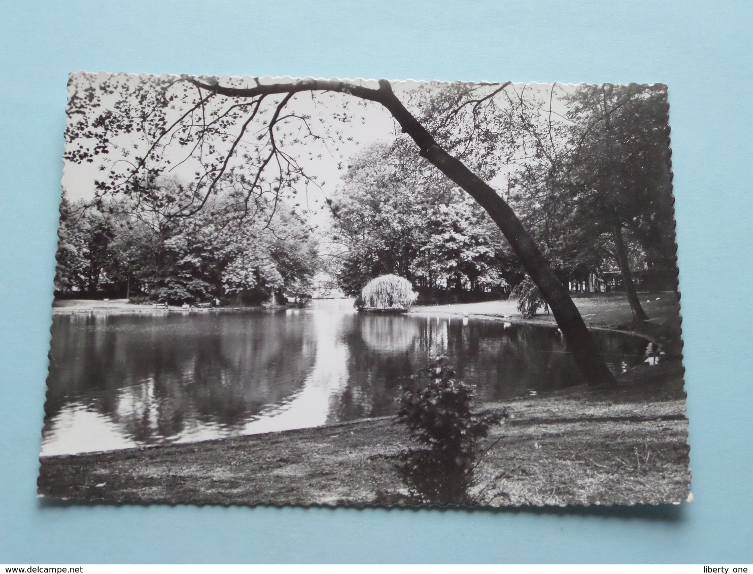 STADSPARK - VIJVER ( Copyright De Greef ) Anno 19?? ( Zie Foto Details ) - Vilvoorde