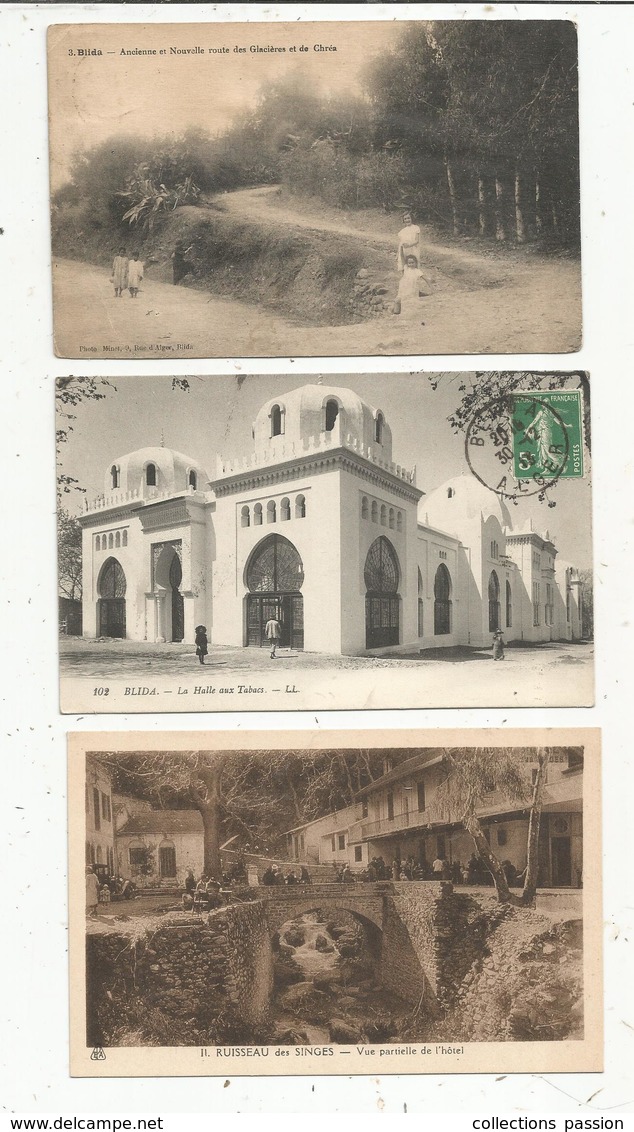 Carte Postale , ALGERIE , BLIDA , 2 Scans , LOT DE 5 CARTES POSTALES - 5 - 99 Postcards