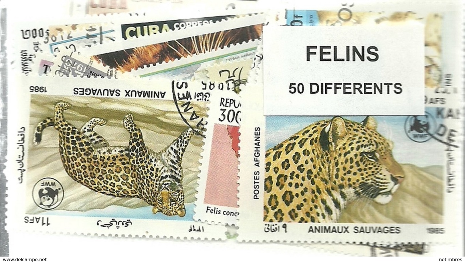 Lot 50 Timbres Thematique " Felins " - Félins