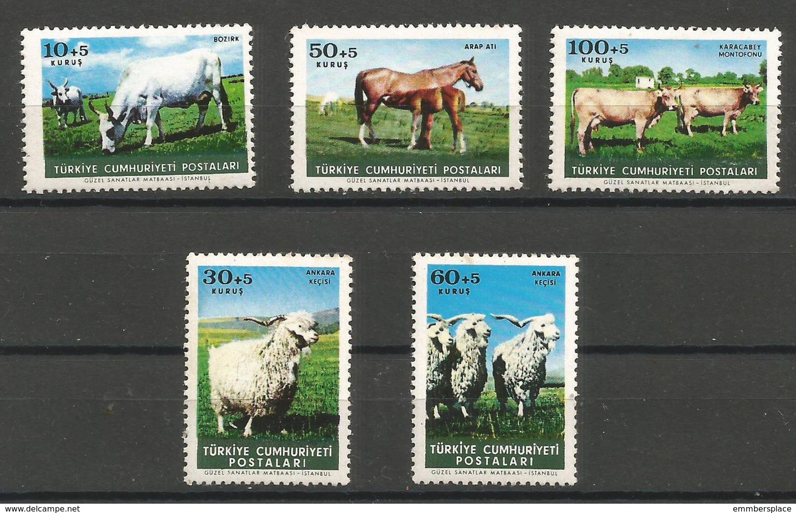 Turkey - 1964 Animal Protection MNH **     Mi 1919-23    Sc B98-102 - Unused Stamps