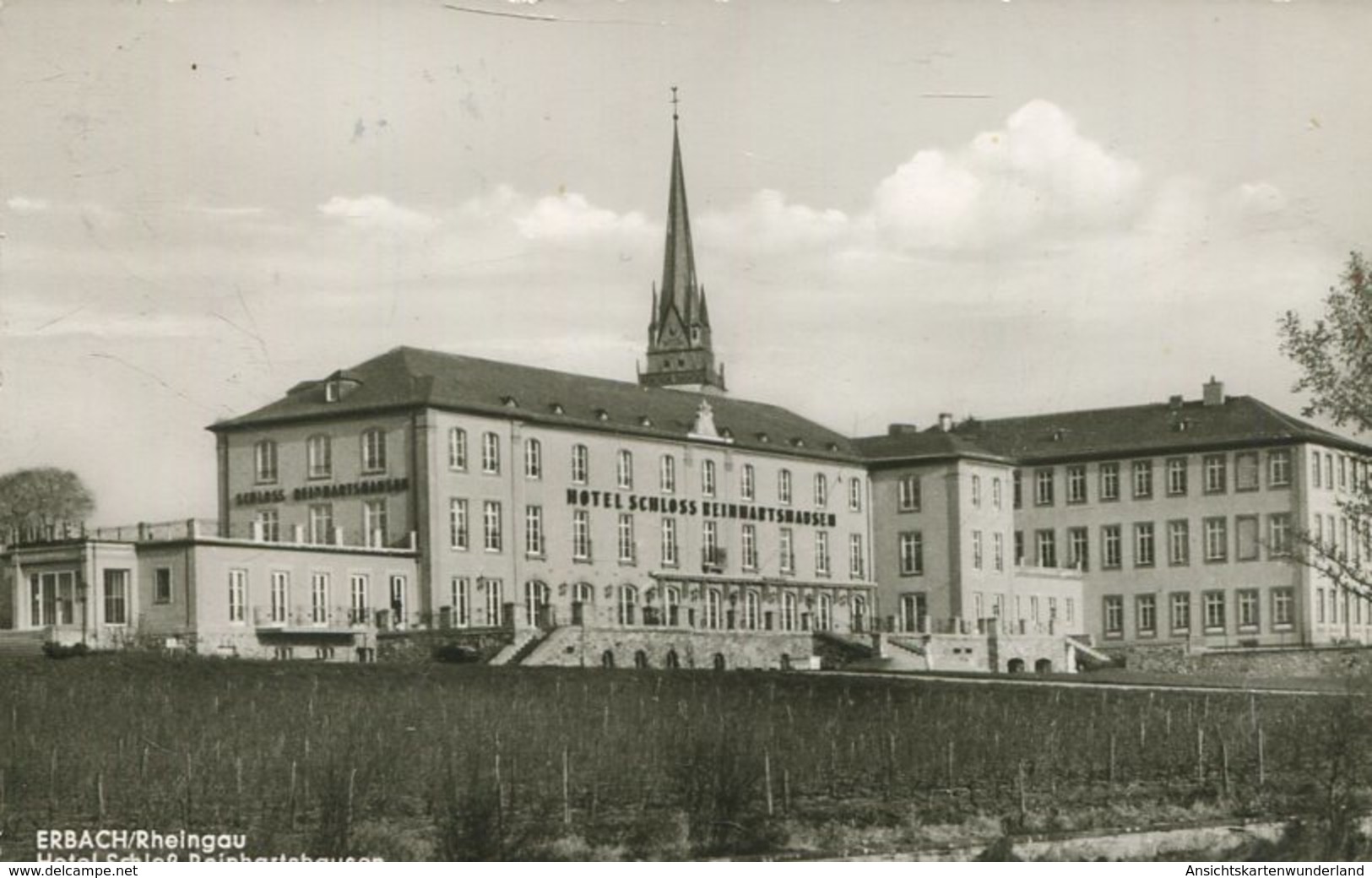 004577  Erbach (Rheingau) - Hotel Schloss Reinhartshausen  1964 - Erbach