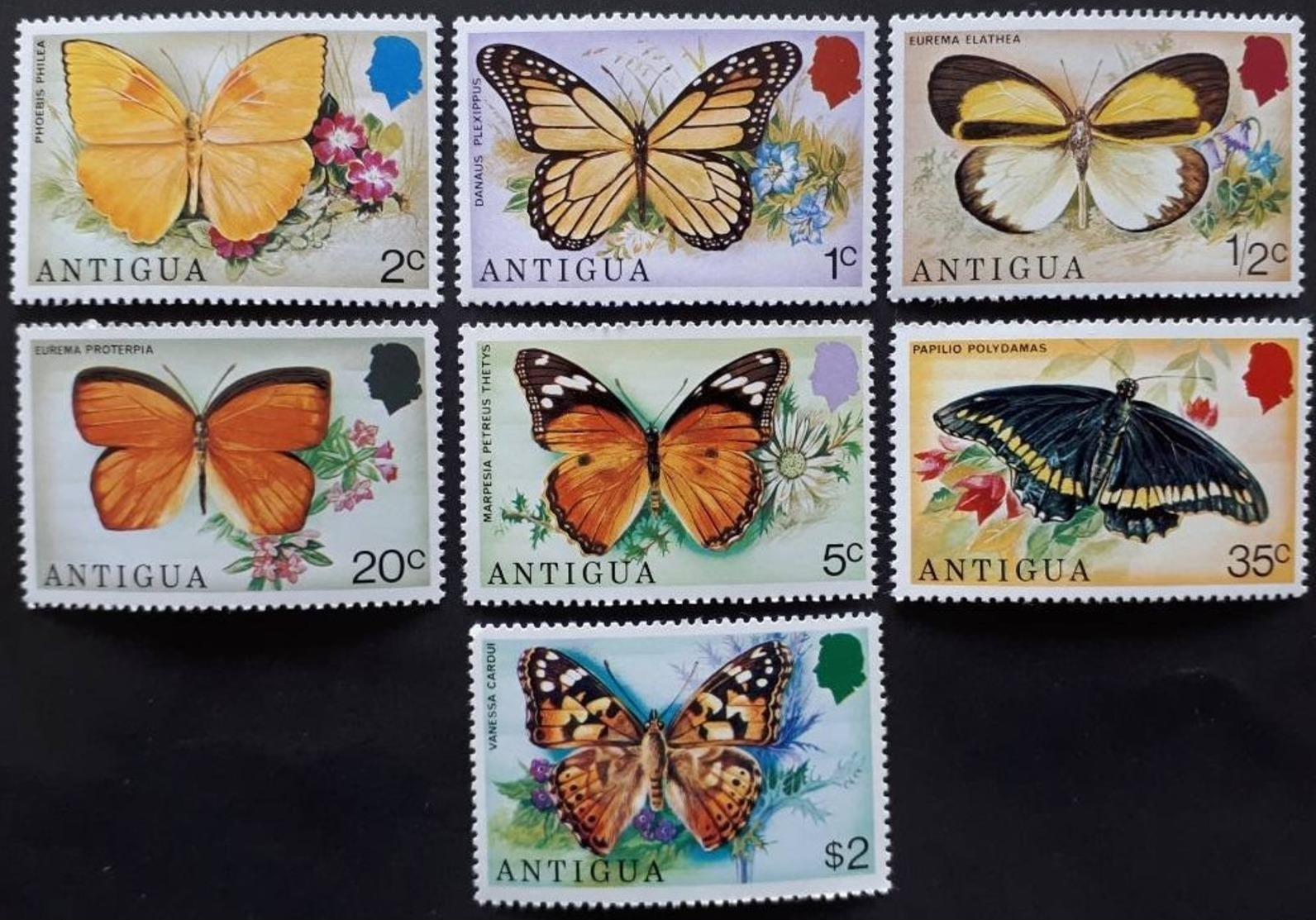 Antigua & Barbuda 1975**Mi.381/87. Butterfly MNH [21;161] - Autres & Non Classés