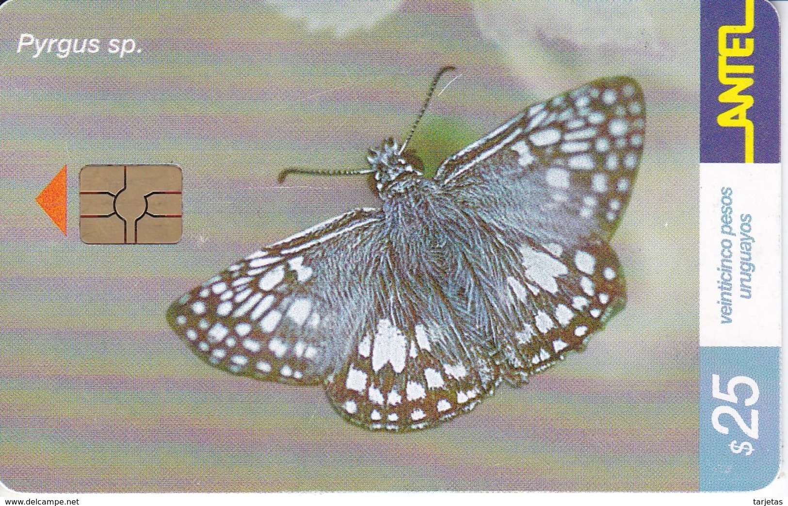 Nº 184 TARJETA DE URUGUAY DE ANTEL DE UNA PYRGUS SP. (MARIPOSA-BUTTERFLY) CHIP ROJO - Uruguay