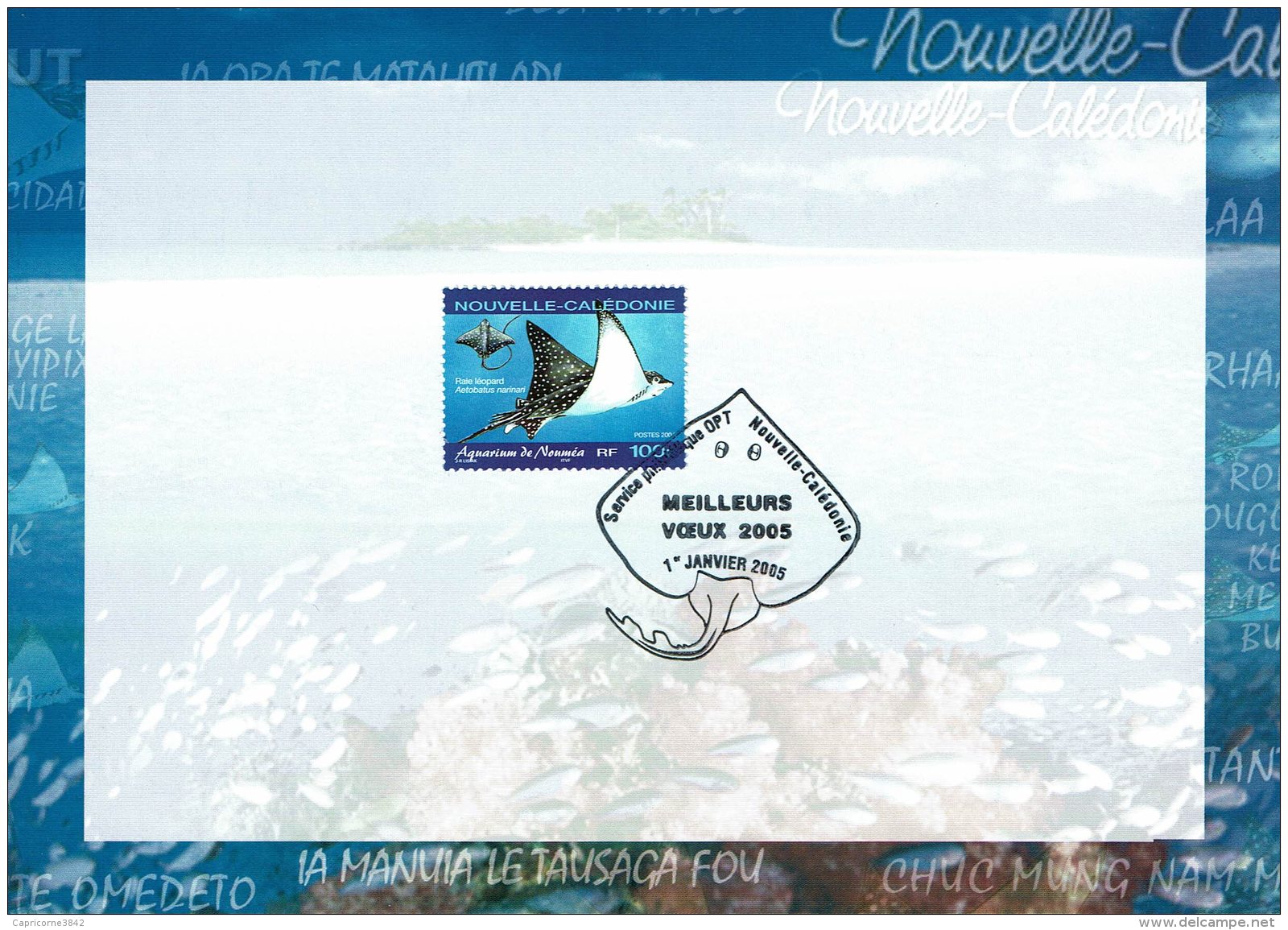 2005 - Nouvelle Calédonie - Carte De V&oelig;ux De La Poste - Obl Du 1er Janvier 2005 Sur  Tp N°915 - Oficiales