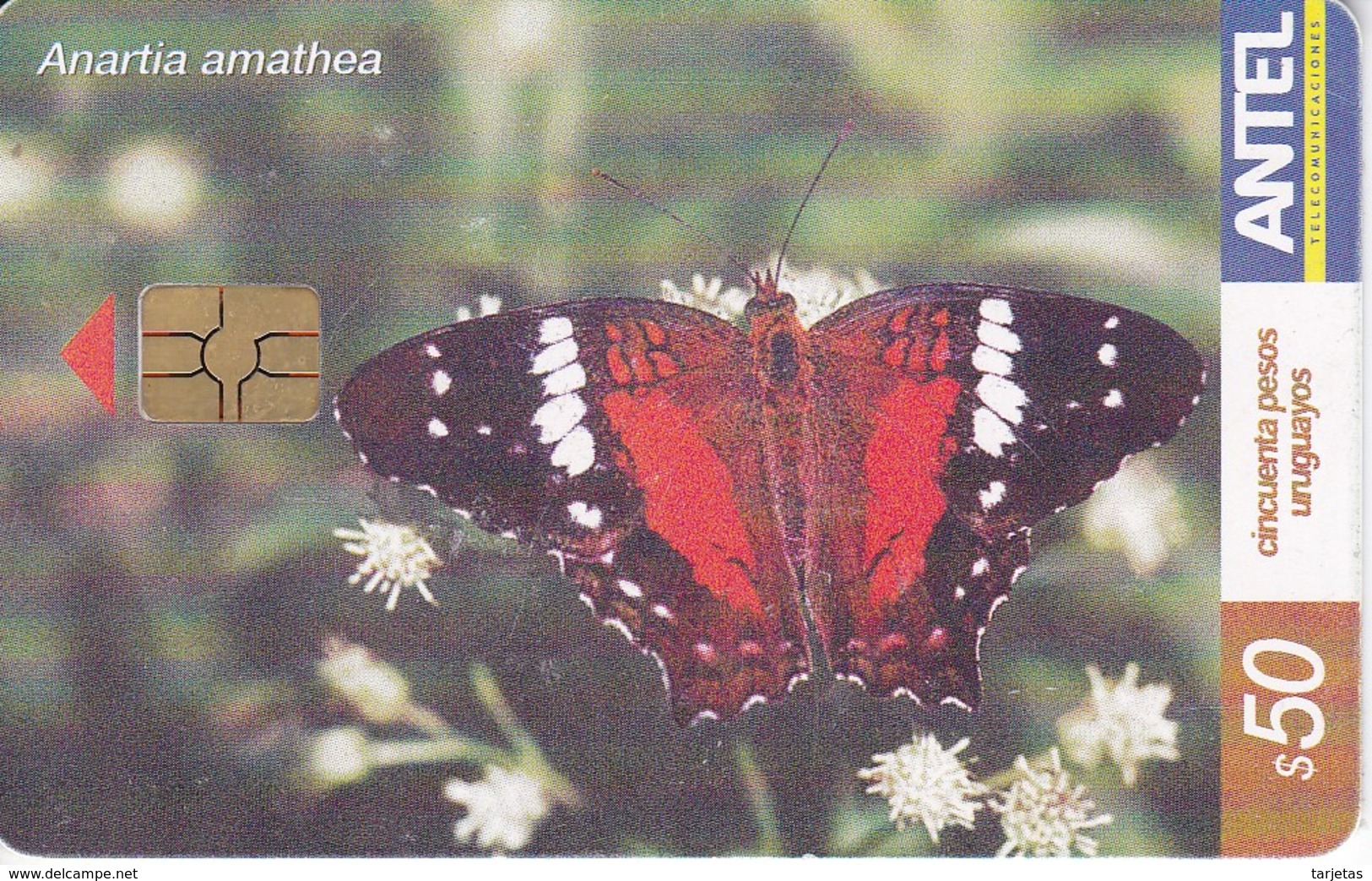 Nº 285 TARJETA DE URUGUAY DE UNA MARIPOSA ANARTIA AMATHEA (BUTTERFLY) CHIP ROJO - Uruguay