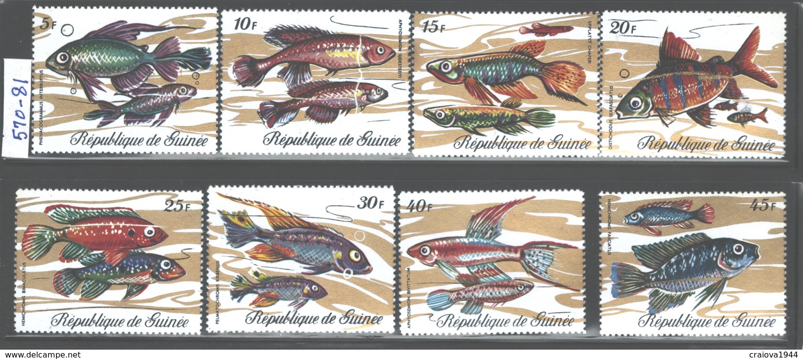 REPUBLIQUE DE GUINEE 1971 "FISHES" ##570-581 MNH - Guinea (1958-...)