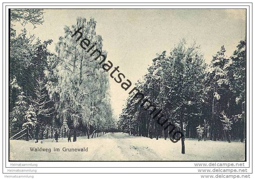 Berlin-Grunewald - Waldweg Im Grunewald - Grunewald