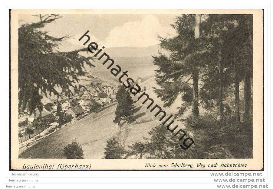 Lautenthal - Blick Vom Schulberg - Weg Nach Hahnenklee - Langelsheim