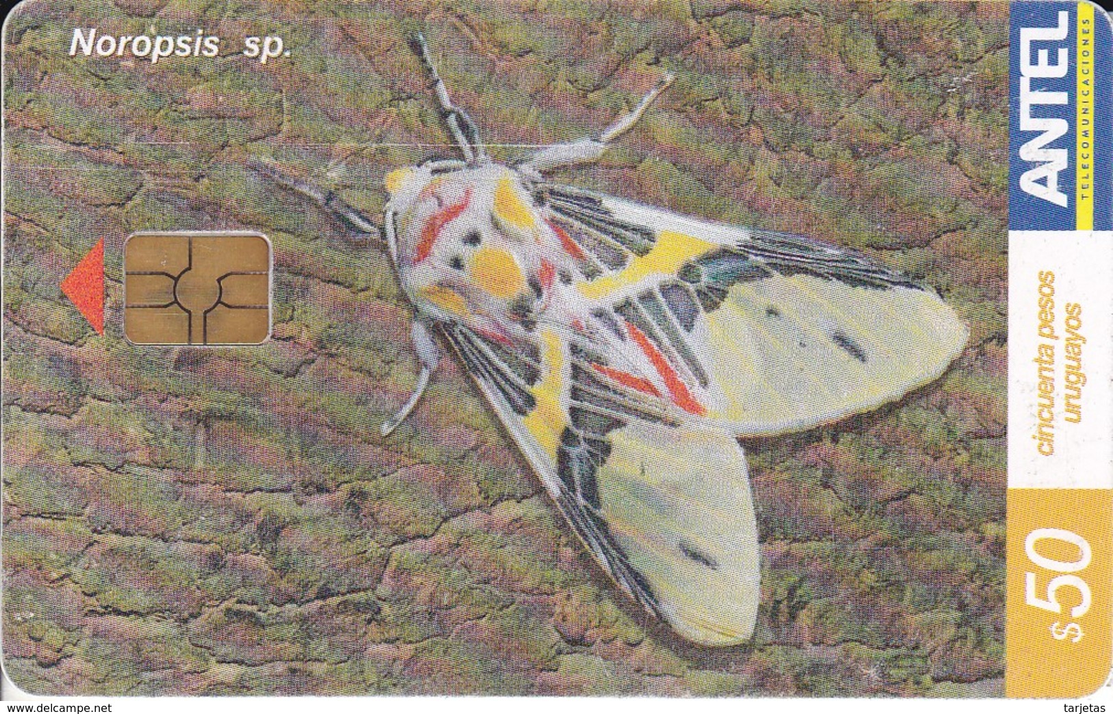 Nº 390 TARJETA DE URUGUAY DE UNA MARIPOSA (BUTTERFLY) - Farfalle