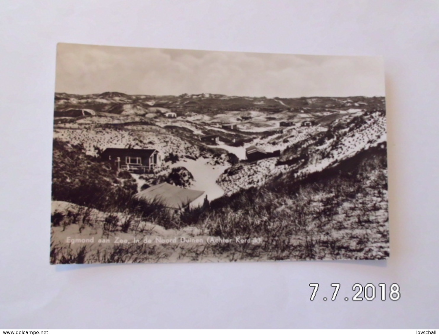 Egmond Aan Zee. - In De NoordDuinen. (27 - 8 - 1957) - Egmond Aan Zee