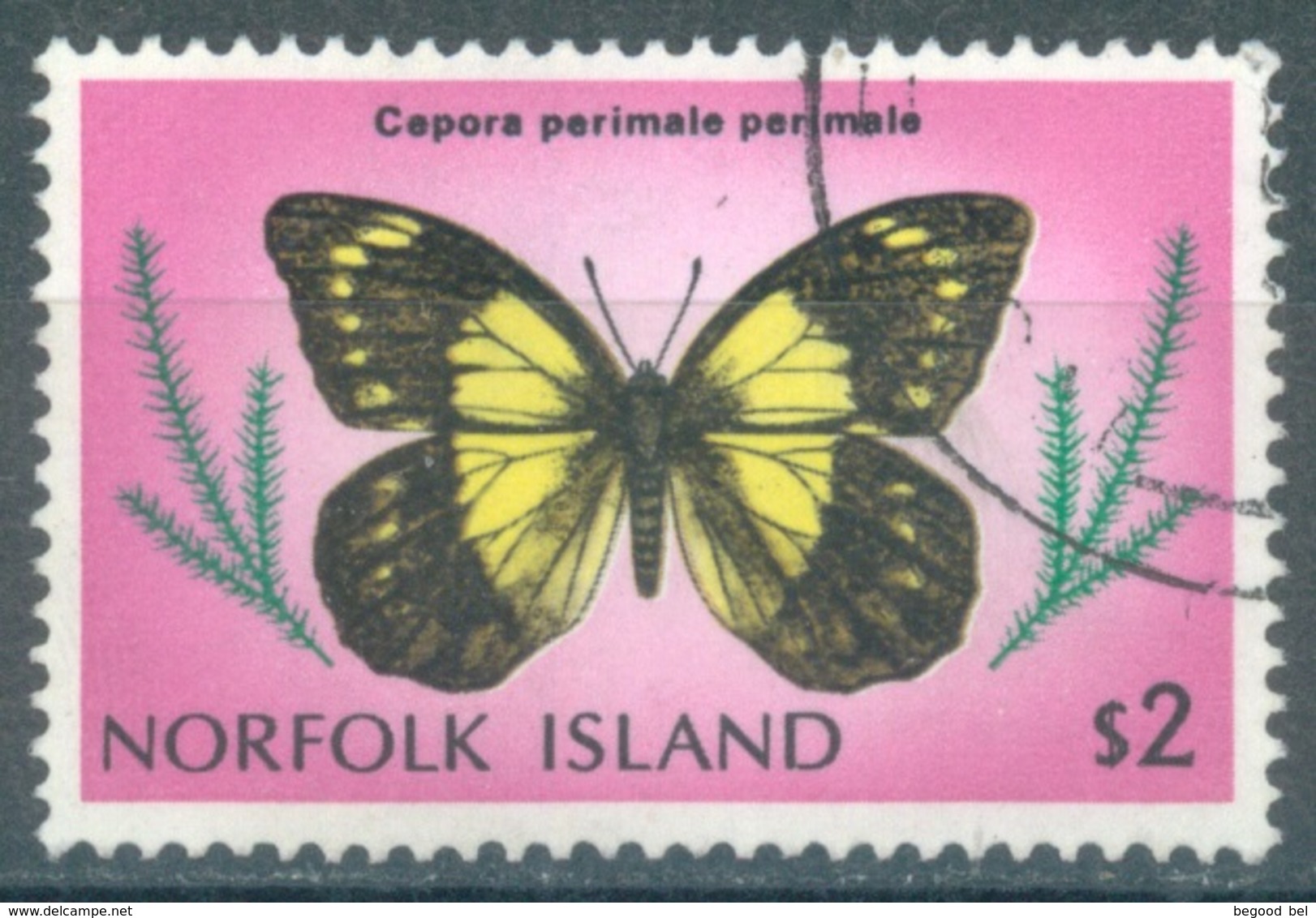 NORFOLK ISLAND - USED/OBLIT. - 1976-1977 - BUTTERFLY - Yv 196 ASC 197  - Lot 17514 - Ile Norfolk