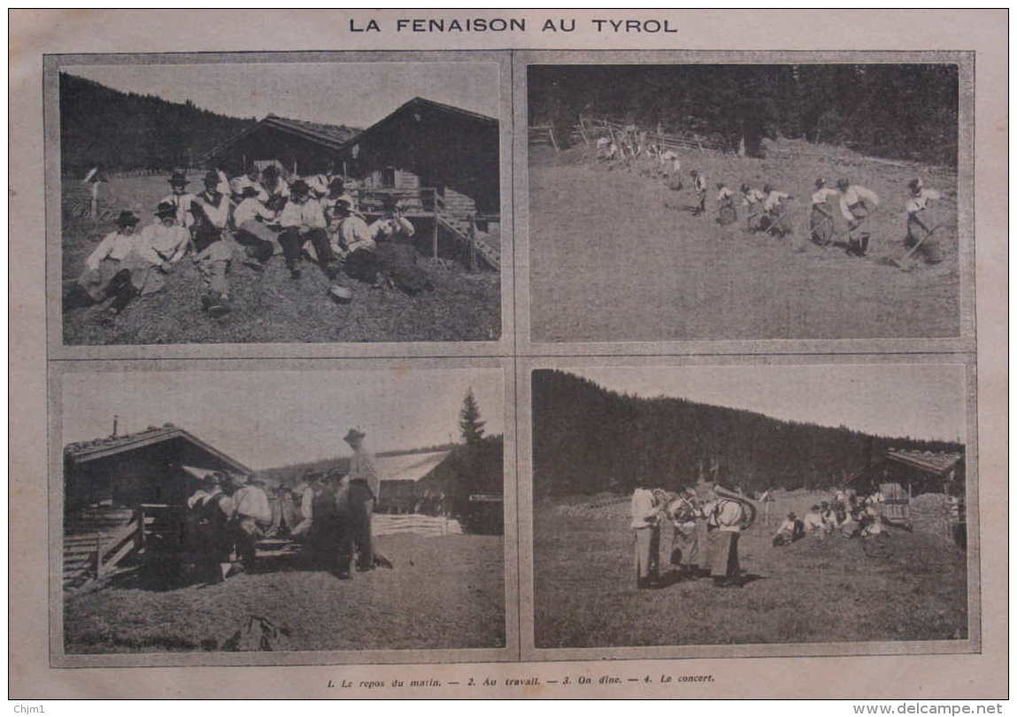 La Fenaison Au Tyrol - Tirol - Page Original 1908 - Other & Unclassified