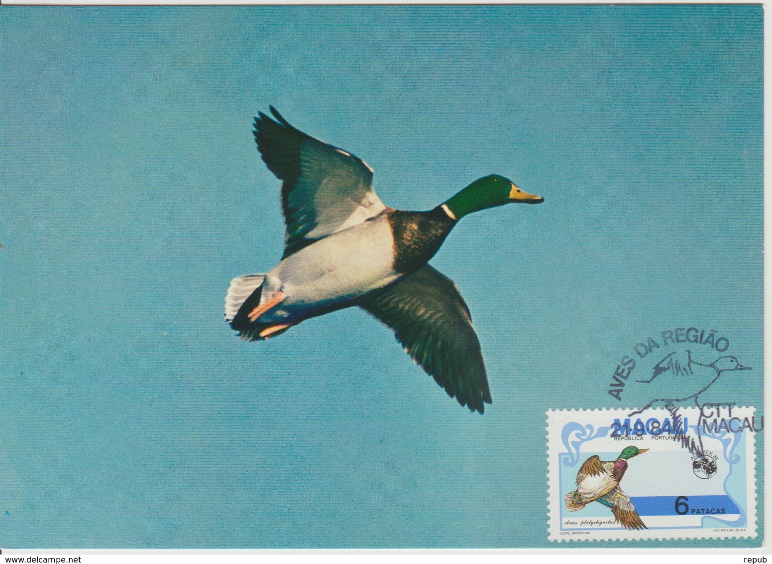 Carte Maximum 1984 Oiseaux Canard 500 - Maximum Cards