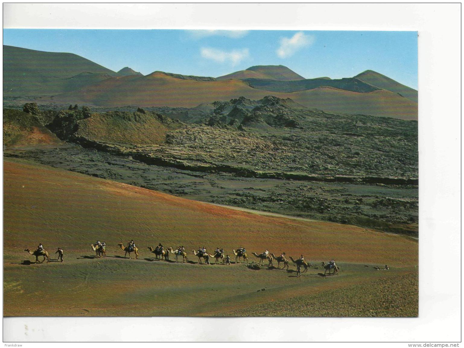 Postcard - Lanzarote - Camels Caravan Card No. 20139 - Unused Very Good - Unclassified