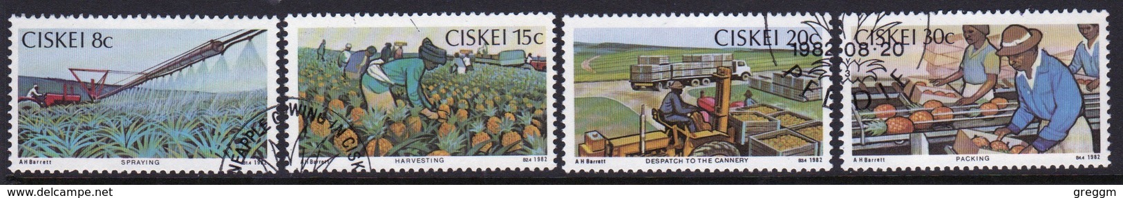 Ciskei Set Of Stamps To Celebrate The Pineapple Industry From 1982. - Ciskei