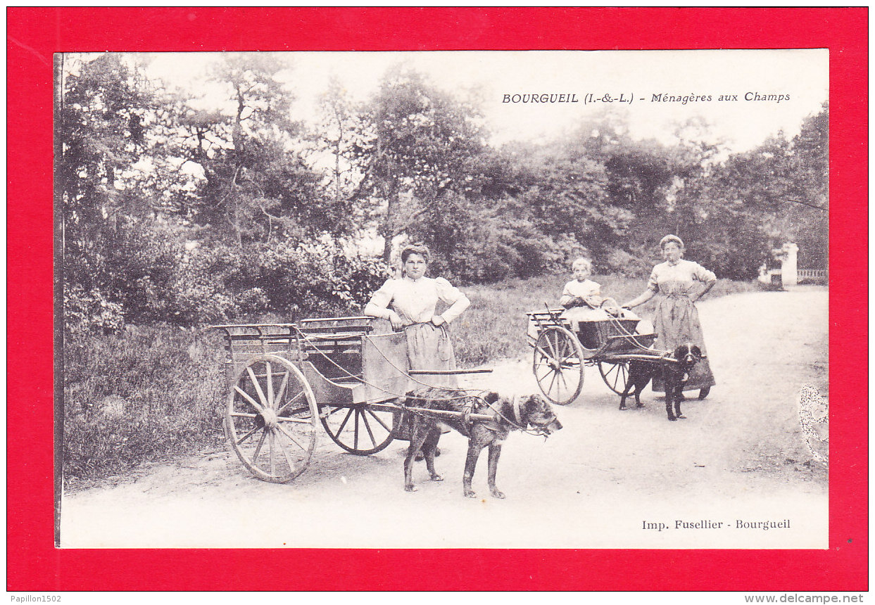 F-37-Bourgueil-10A96  Les Ménagères Aux Champs, 2 Attelages à Chiens, Animation, Cpa BE - Autres & Non Classés