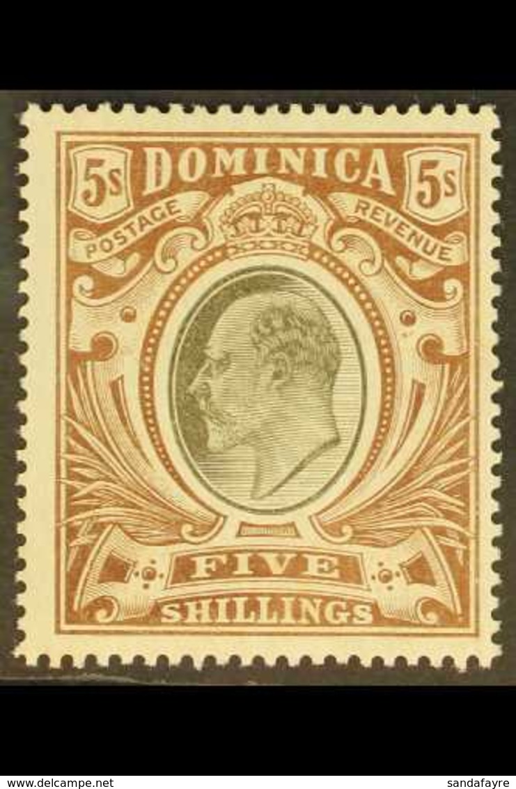 1907-08 5s Black & Brown, MCA Wmk, SG 46, Very Fine Mint For More Images, Please Visit Http://www.sandafayre.com/itemdet - Dominica (...-1978)