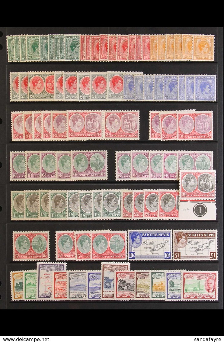 1938-52 UNCHECKED MINT / NHM HOARD CAT £900+ Presented On A Stock Page That Includes 1938-50 All Values To £1 With Many  - St.Kitts En Nevis ( 1983-...)