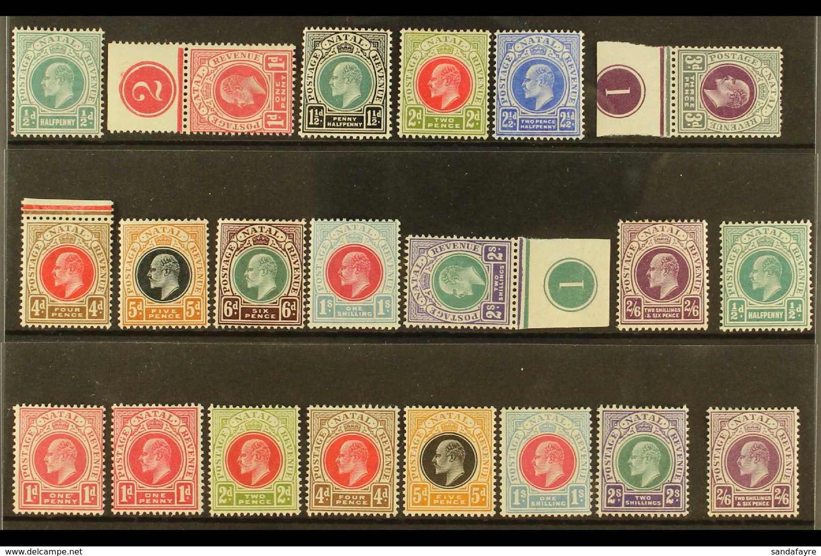 NATAL 1902-1904 FINE MINT COLLECTION On A Stock Card, All Different, Includes 1902-03 Set To 2s6d Incl 1d, 3d & 6d Plate - Unclassified