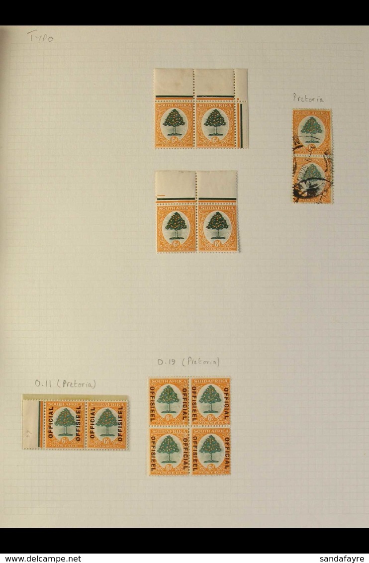 1926-46 6D ORANGE TREE ISSUES - SPECIALISED COLLECTION Of Largely Fine Mint Written Up On Pages, With Some In Positional - Non Classificati