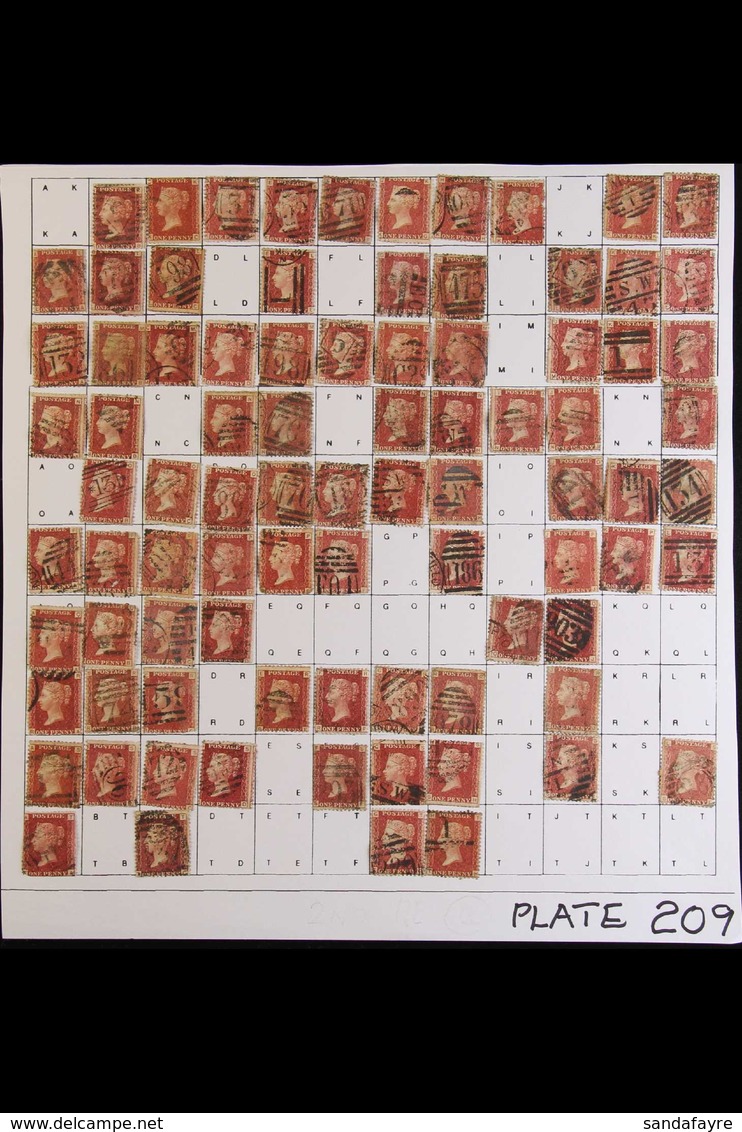 1864-79 PENNY RED PARTIAL PLATE RECONSTRUCTION PLATE 209 - A Partly Complete Used Reconstruction With 176 Of The 240 Che - Altri & Non Classificati