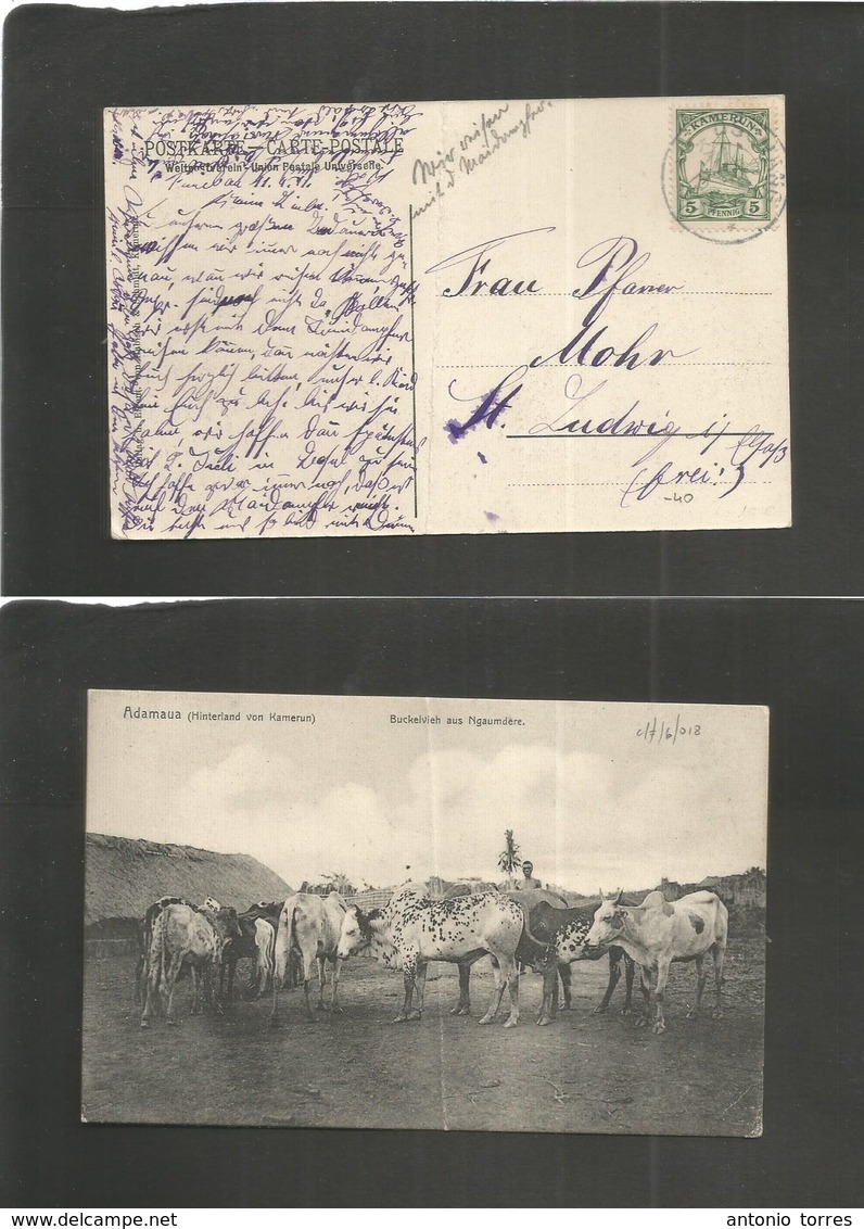 German Col-Camerun. 1911 (19 Apr) Dschane - Mohr, Undwig, Germany. Adamana. Fkd Photo View Ppc. Fine. - Autres & Non Classés