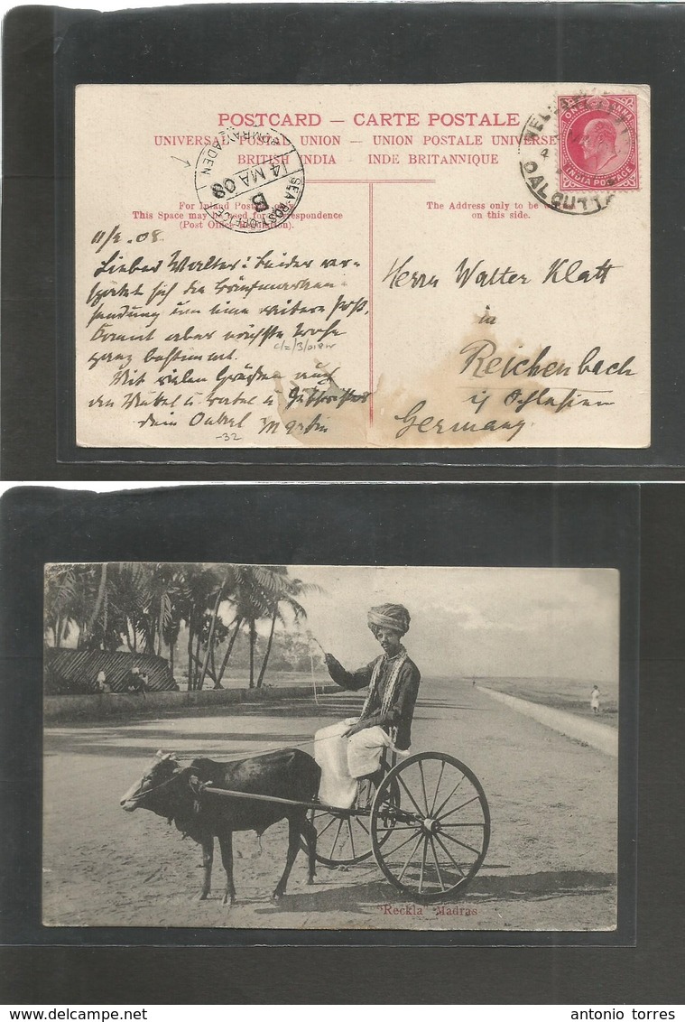 India. 1908 (4 March) Wellington St, Calcutta - Germany, Reidenbach. Fkd Ppc (cart Photo) Via Sea Post Office BOMBAY - A - Andere & Zonder Classificatie