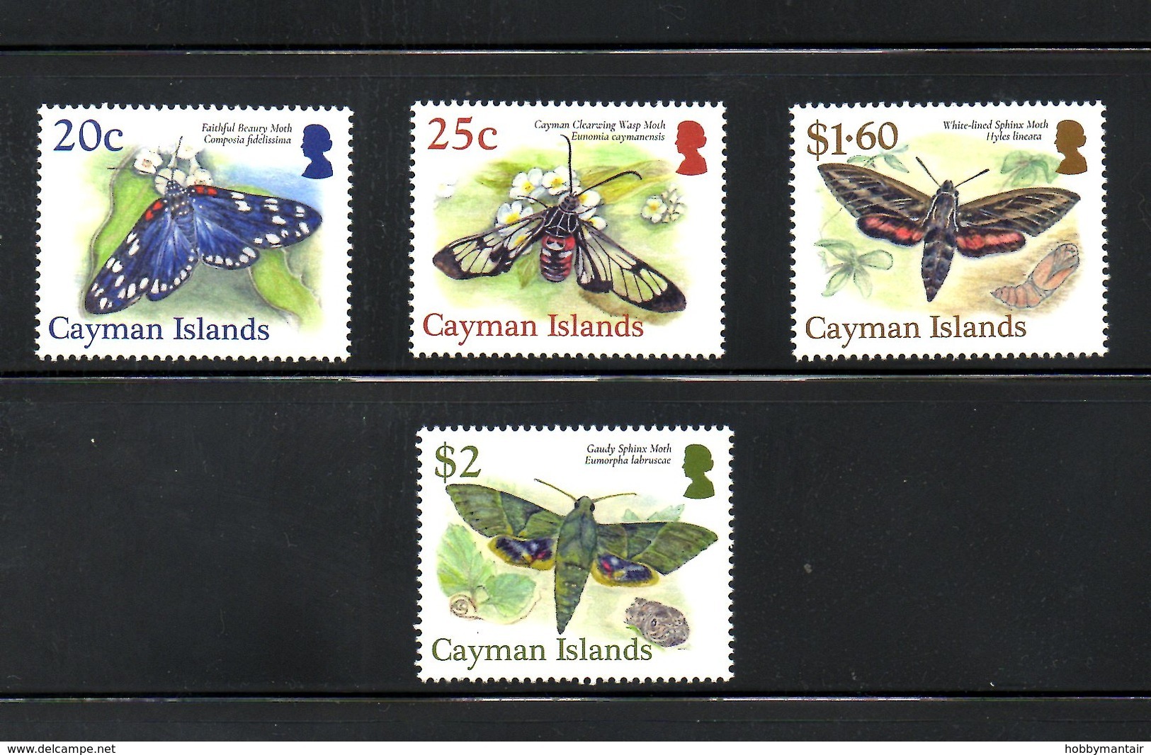 CAYMAN, 2017, BUTTERFLIES, 4v. MNH** - Papillons