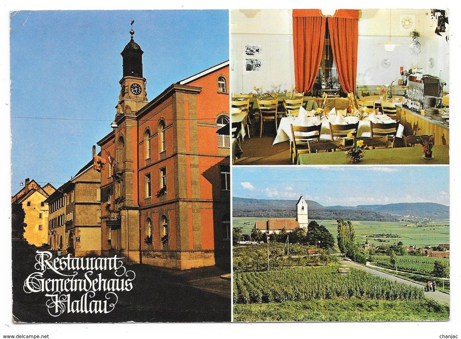 Cpsm: SUISSE - GEMÜTLICHE WEINSTUBE - Restaurant Gemeindehaus Hallau - Grosser Saal Fûr Gesellschaften - Hallau