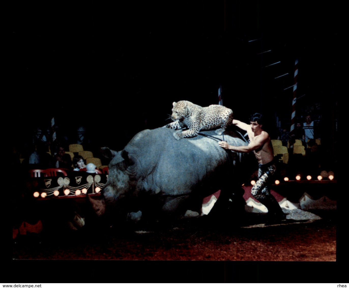 CIRQUE - Cirque DARIX TOGNI - Léopard Et Rhinocéros - Dresseur - 1989 - Photo: BERGER - Cirque