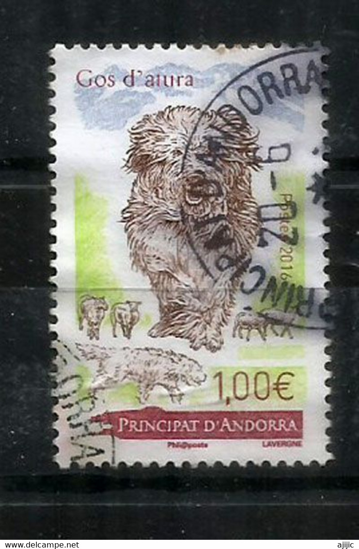 ANDORRA. Le Chien De Berger Des Pyrénées,  Un Timbre Oblitéré 2016 (cachet Rond) - Used Stamps