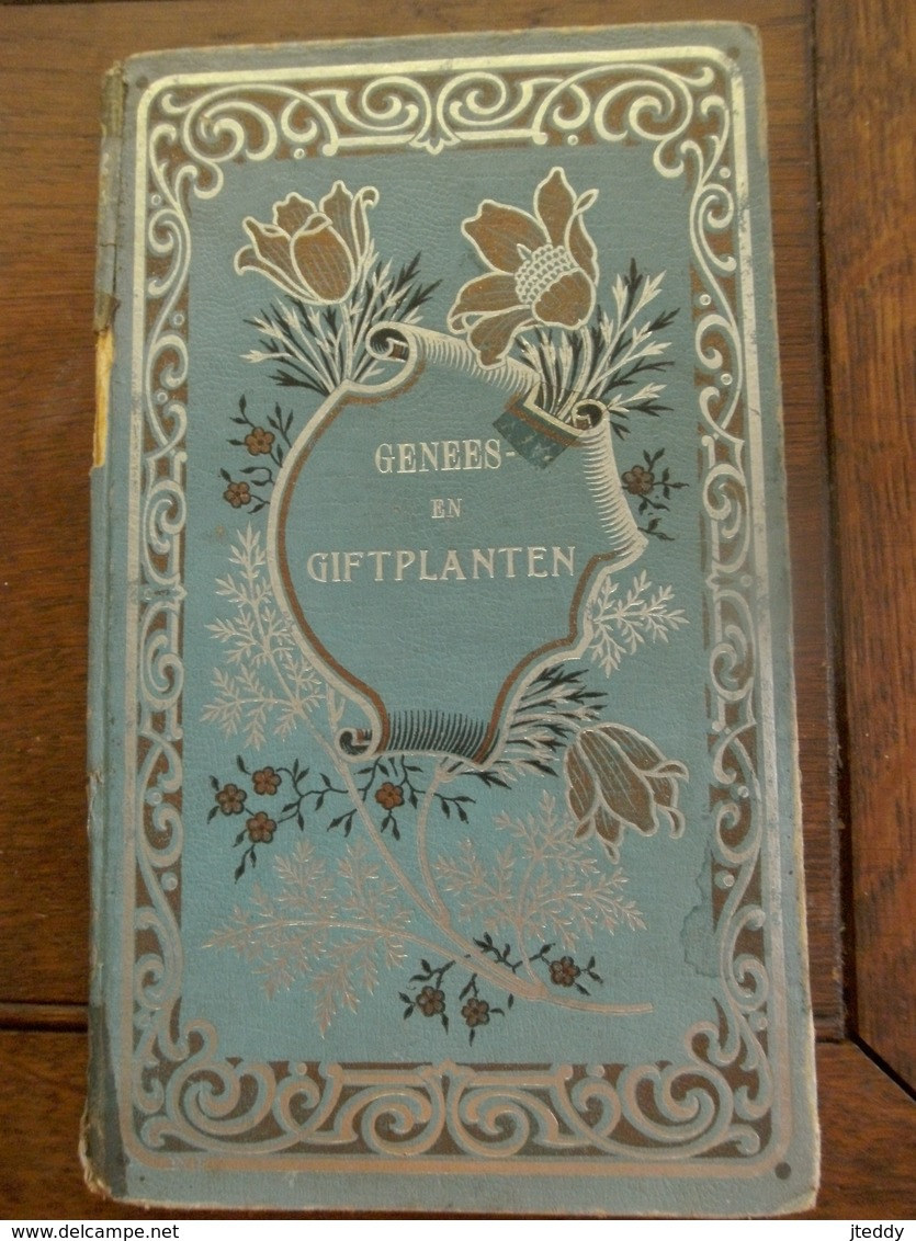 BOEK   GENEES - EN  GIFTPLANTEN Door Dr.  Y. D. V.     WITTERYCK   DRUK .-  UITGEVER  BRUGGE  1910 - Antiquariat