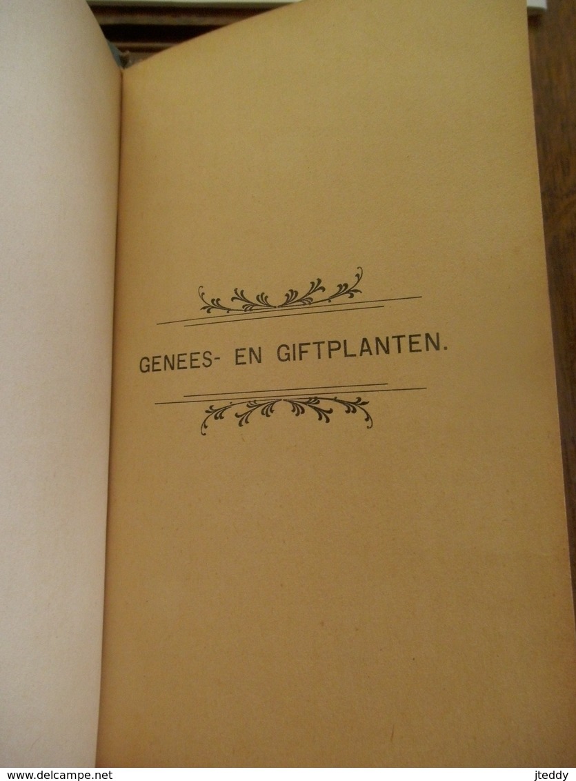 BOEK   GENEES - EN  GIFTPLANTEN Door Dr.  Y. D. V.     WITTERYCK   DRUK .-  UITGEVER  BRUGGE  1910 - Antique