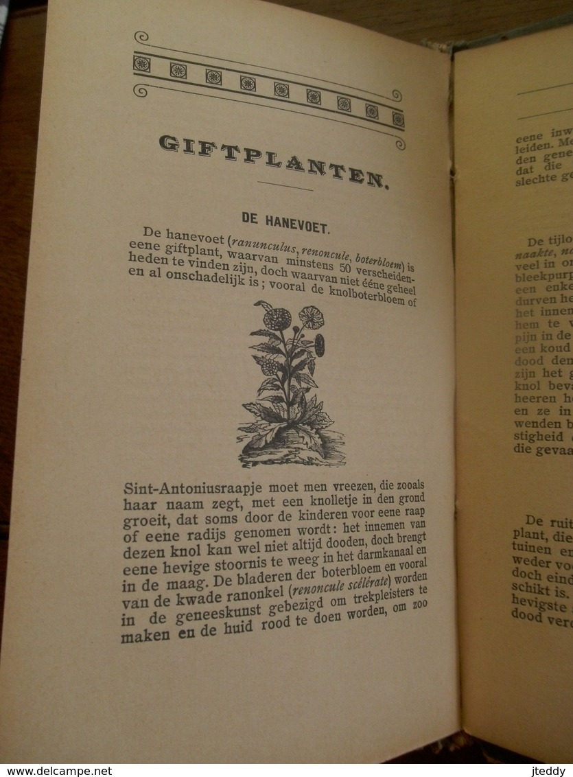 BOEK   GENEES - EN  GIFTPLANTEN Door Dr.  y. d. V.     WITTERYCK   DRUK .-  UITGEVER  BRUGGE  1910