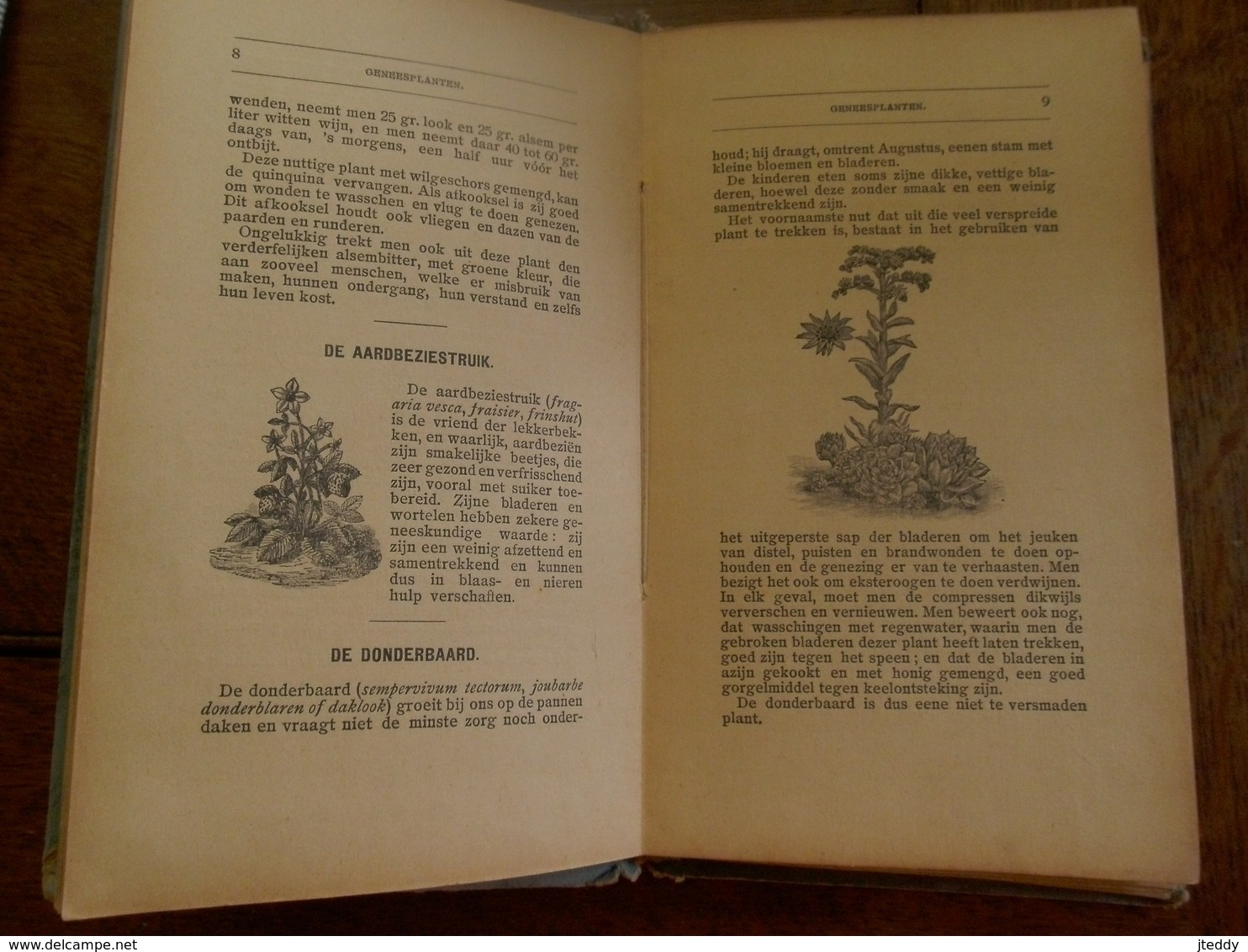 BOEK   GENEES - EN  GIFTPLANTEN Door Dr.  y. d. V.     WITTERYCK   DRUK .-  UITGEVER  BRUGGE  1910